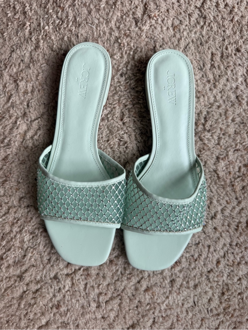 J. Crew Mint Green Slide Sandals with Metallic Mesh Strap